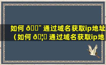 如何 🐯 通过域名获取ip地址（如何 🦈 通过域名获取ip地址和地址）